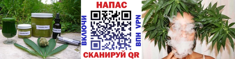 где купить   Кудрово  Еда ТГК конопля 