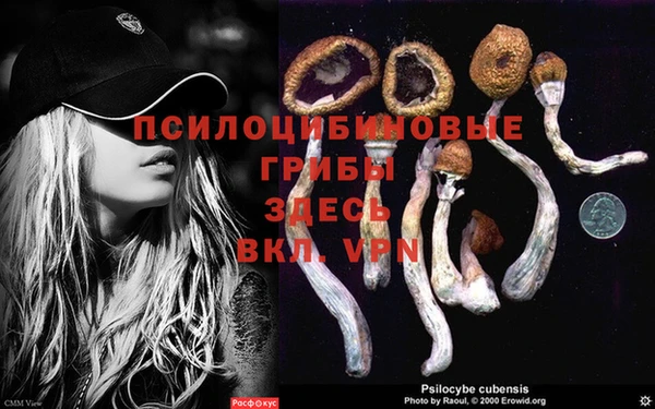 каннабис Пестово