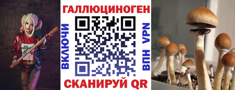 купить   Кудрово  Галлюциногенные грибы прущие грибы 